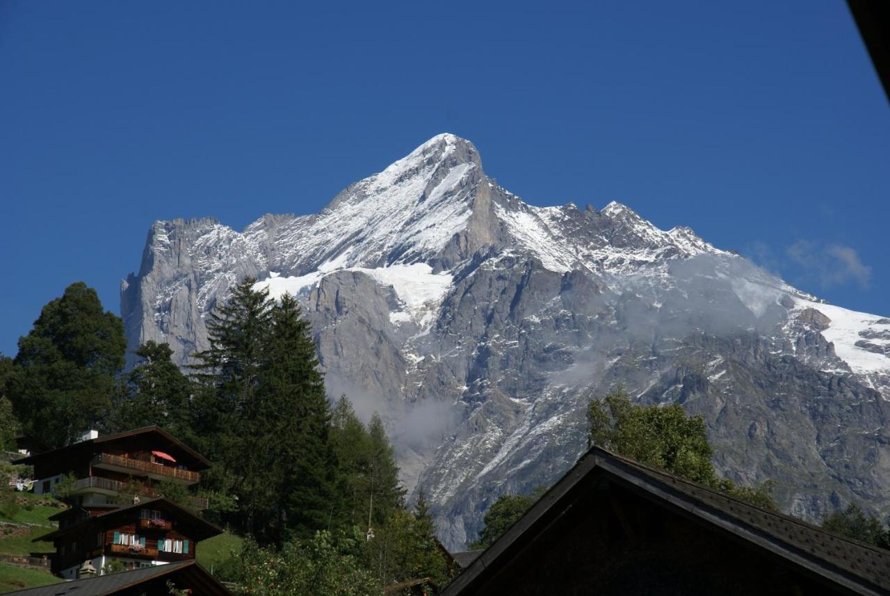 Apartment Bäreggblick - GRIWA RENT AG Grindelwald Exterior foto